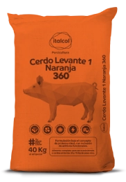 Cerdo levante 1 naranja 360