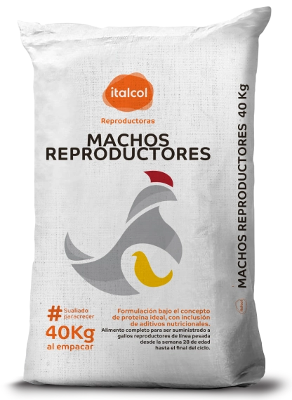 machos-reproductores Machos reproductores