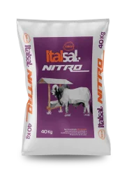 Italsal nitro