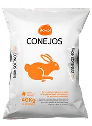 CONEJOS