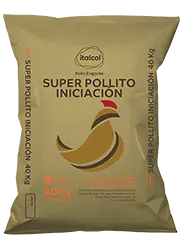 SUPER POLLITO INICIO DORADO